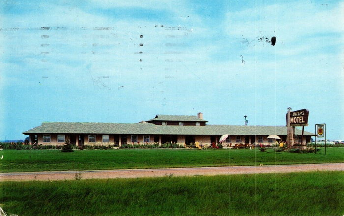 Bushs Motel - Vintage Postcard